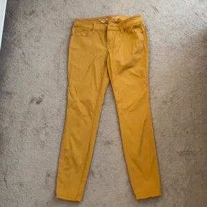 The Limited Denim Mustard Color Jeans